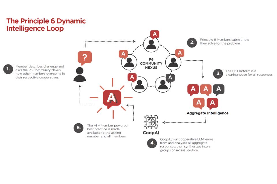 the principle 6 dynamic intelligence loop diagram