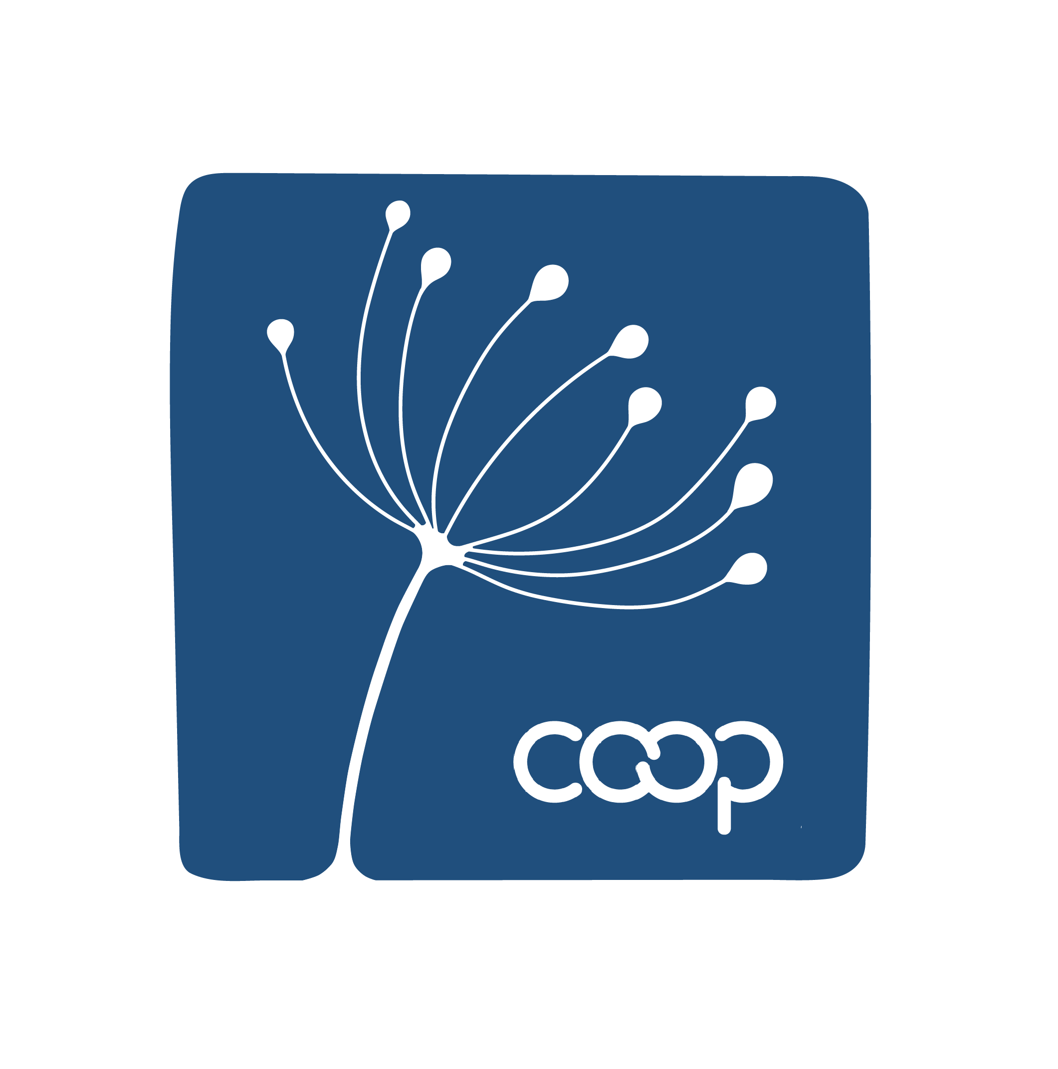 Fund for International Cooperative Development Community Logo